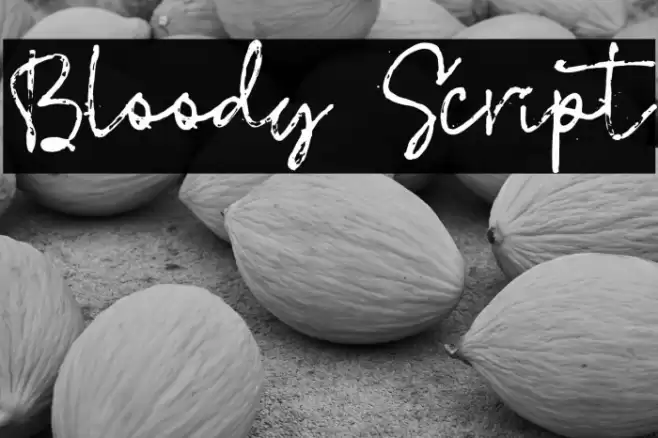 Bloody Script Font examples
