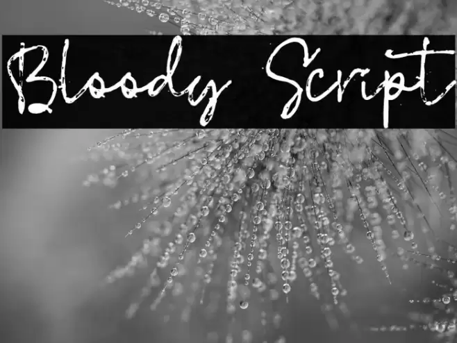 Bloody Script Font examples
