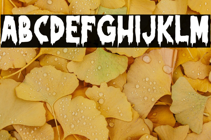 BloodyFrozen-Regular Example 2