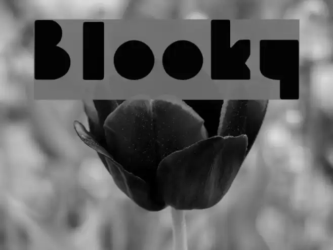 Blooky Font examples