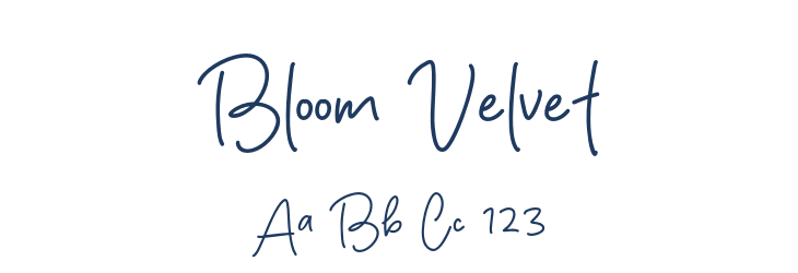 Bloom Velvet Font Preview