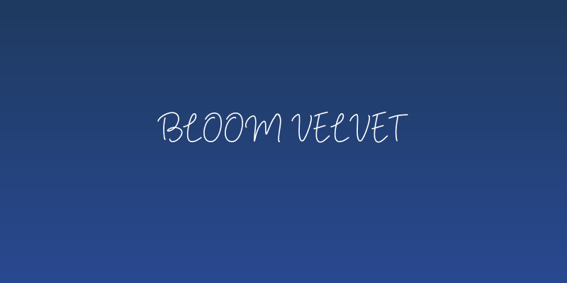 Bloom Velvet Social Header