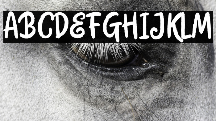 BloomMondayDemo Example 2