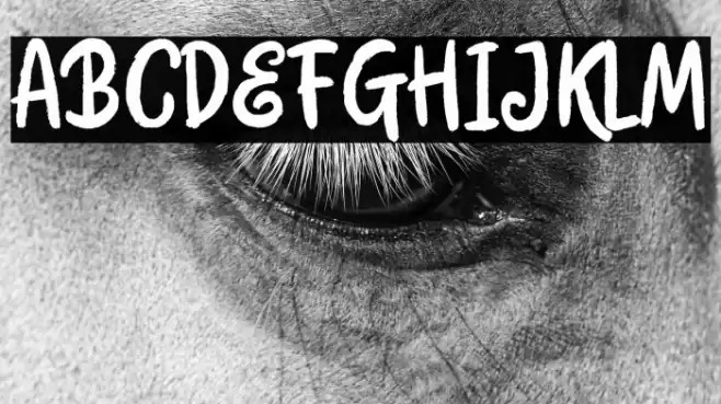 BloomMondayDemo Schriftart examples