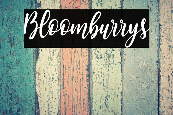 Bloomburrys Example 1