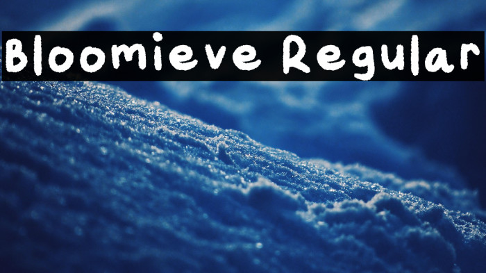 Bloomieve Regular Example 1