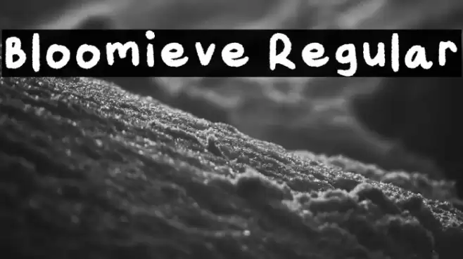 Bloomieve Regular 字体 examples