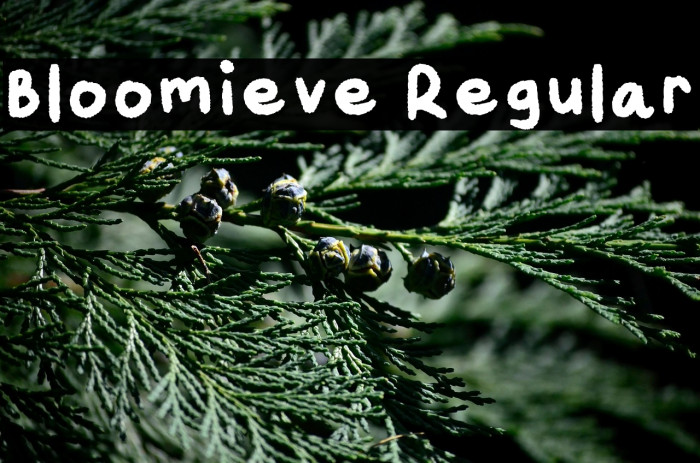 Bloomieve Regular Example 2