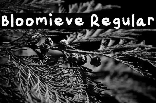 Bloomieve Regular 字体 examples