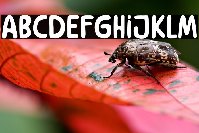 Blooming Flowers Example 2