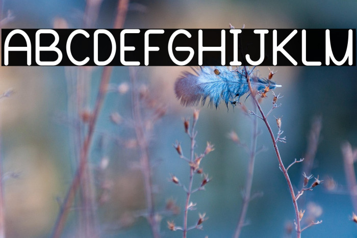 Blooming Grove Alternate Bold Example 3