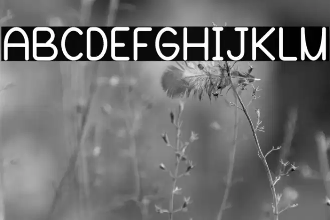 Blooming Grove Alternate Bold Font examples