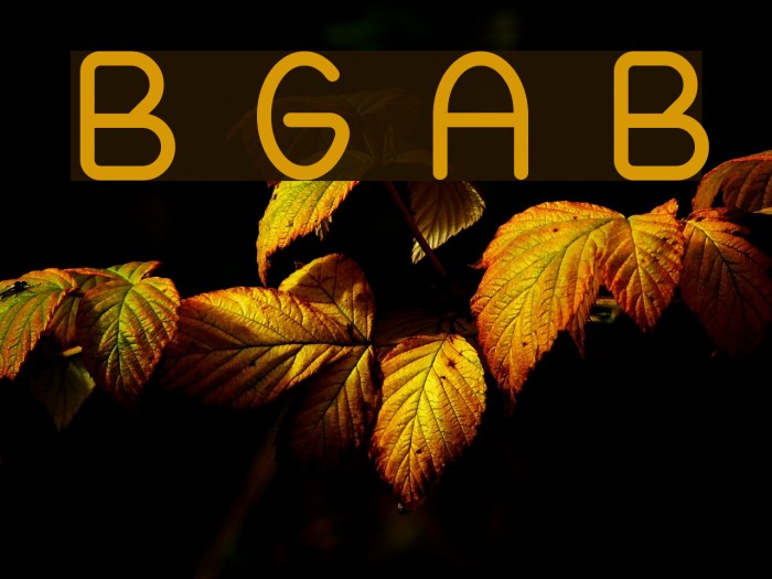 Blooming Grove Alternate Bold Polices examples