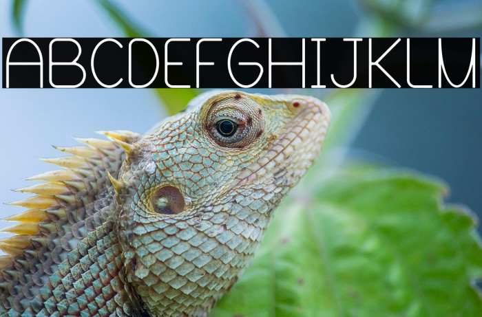 Blooming Grove Alternate Example 2