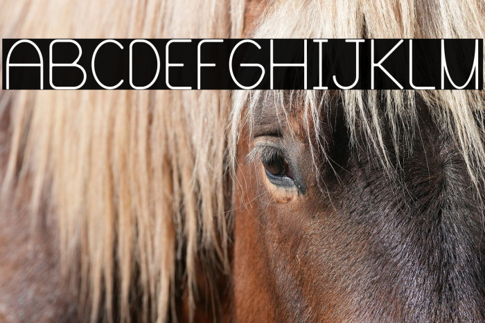 Blooming Grove Alternate Example 3