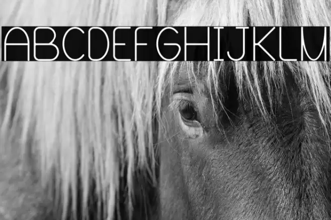 Blooming Grove Alternate Font examples