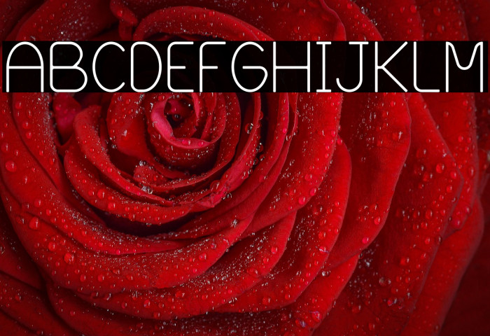 Blooming Grove Example 2