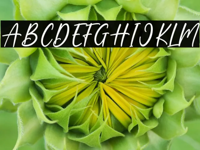 Blooming Example 2