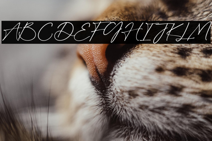 BloomingHeart-Regular Example 3