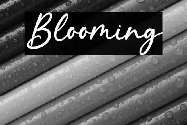 Blooming Font examples