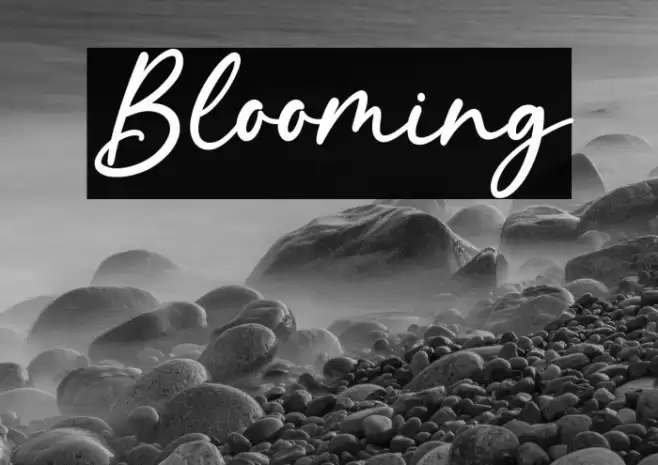 Blooming Font examples
