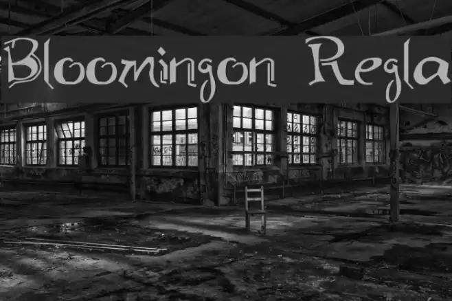 Bloomington Regular Font examples