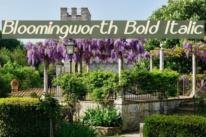 Bloomingworth Bold Italic Example 1