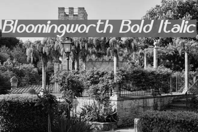 Bloomingworth Bold Italic Font examples