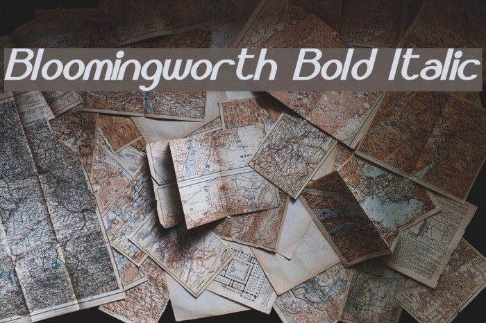 Bloomingworth Bold Italic Example 2