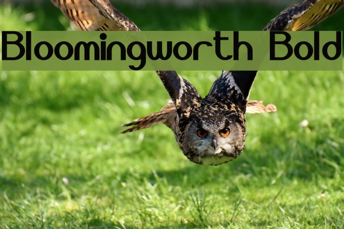 Bloomingworth Bold フォント examples