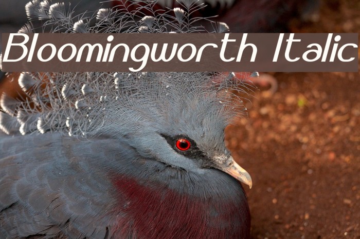 Bloomingworth Italic Caratteri examples
