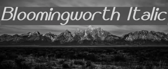 Bloomingworth Italic Font examples