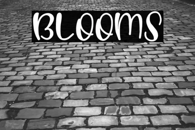 Blooms Font examples