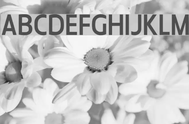 Bloomsburg Шрифта examples