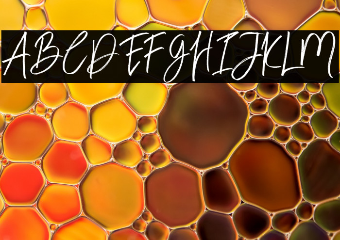 BloomyScriptFree Example 2