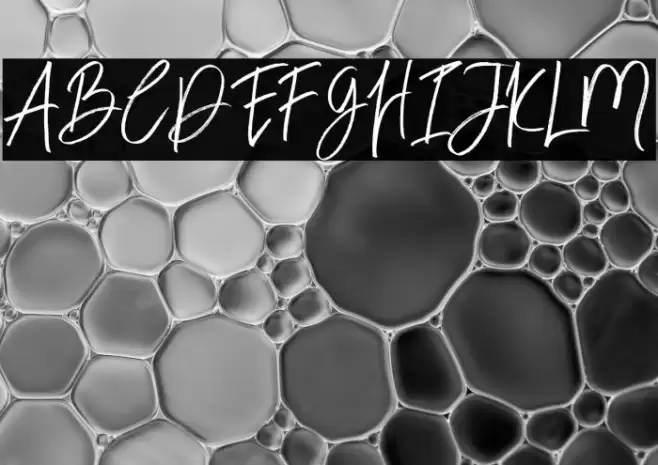 BloomyScriptFree Font examples