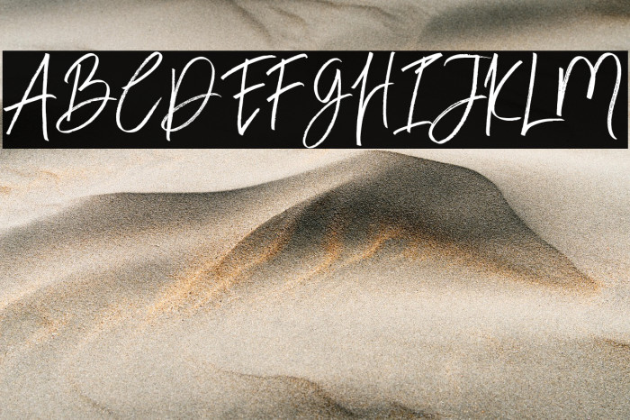 BloomyScriptFree Example 3