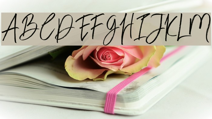 BloomyScriptFree Font examples