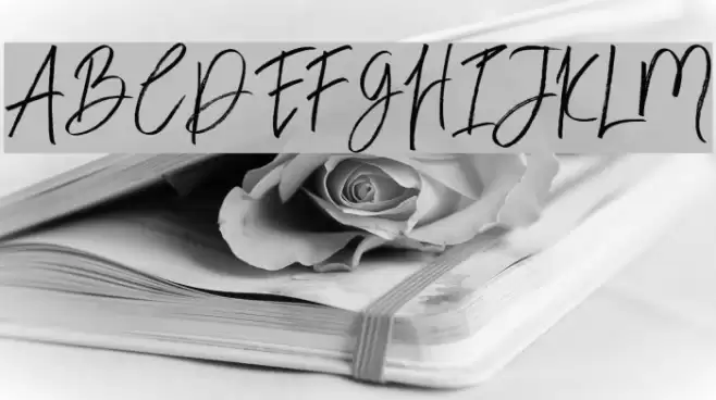 BloomyScriptFree Font examples