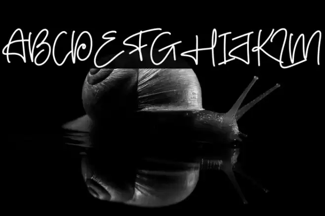 Bloonder Font examples