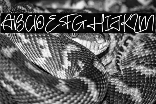 Bloonder Font examples