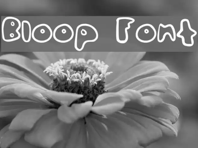 Bloop Font examples