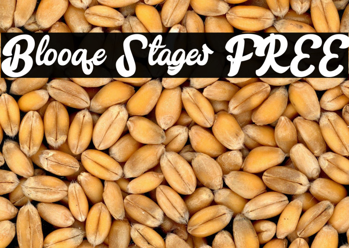 Blooqe Stages FREE Example 2