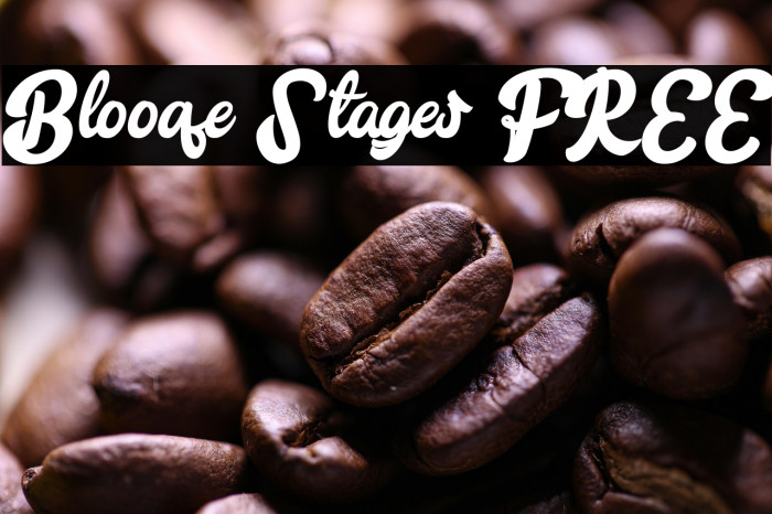 Blooqe Stages FREE Example 3