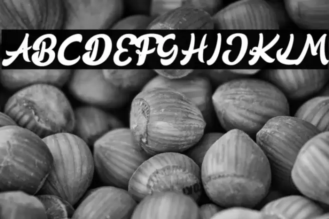 BlooqeStagesFREE Font examples