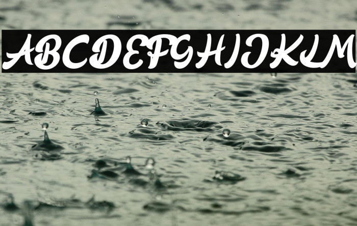 BlooqeStagesFREE Example 2