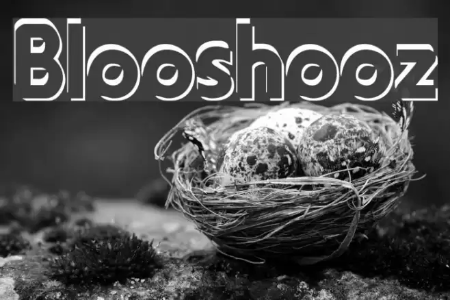 Blooshooz Font examples