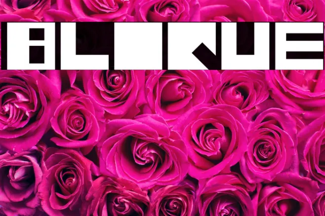 Bloque Example 1