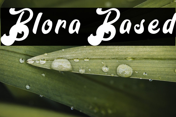 Blora Based Example 1