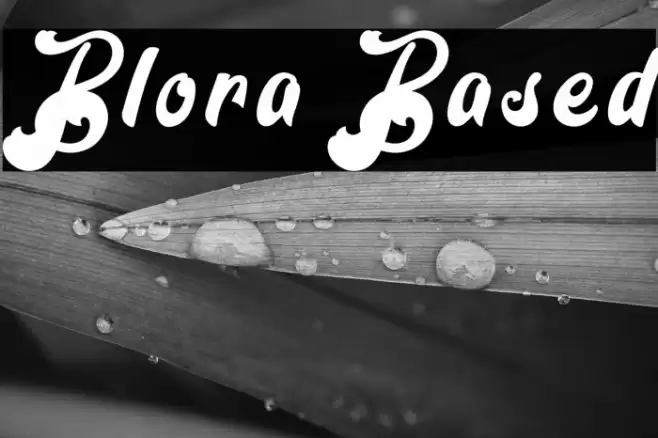 Blora Based Polices examples